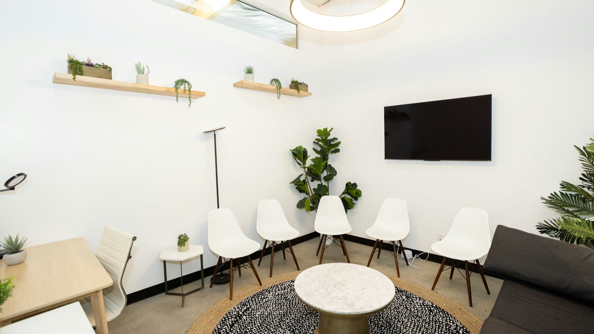 Calm white consultation room with chairs and plants