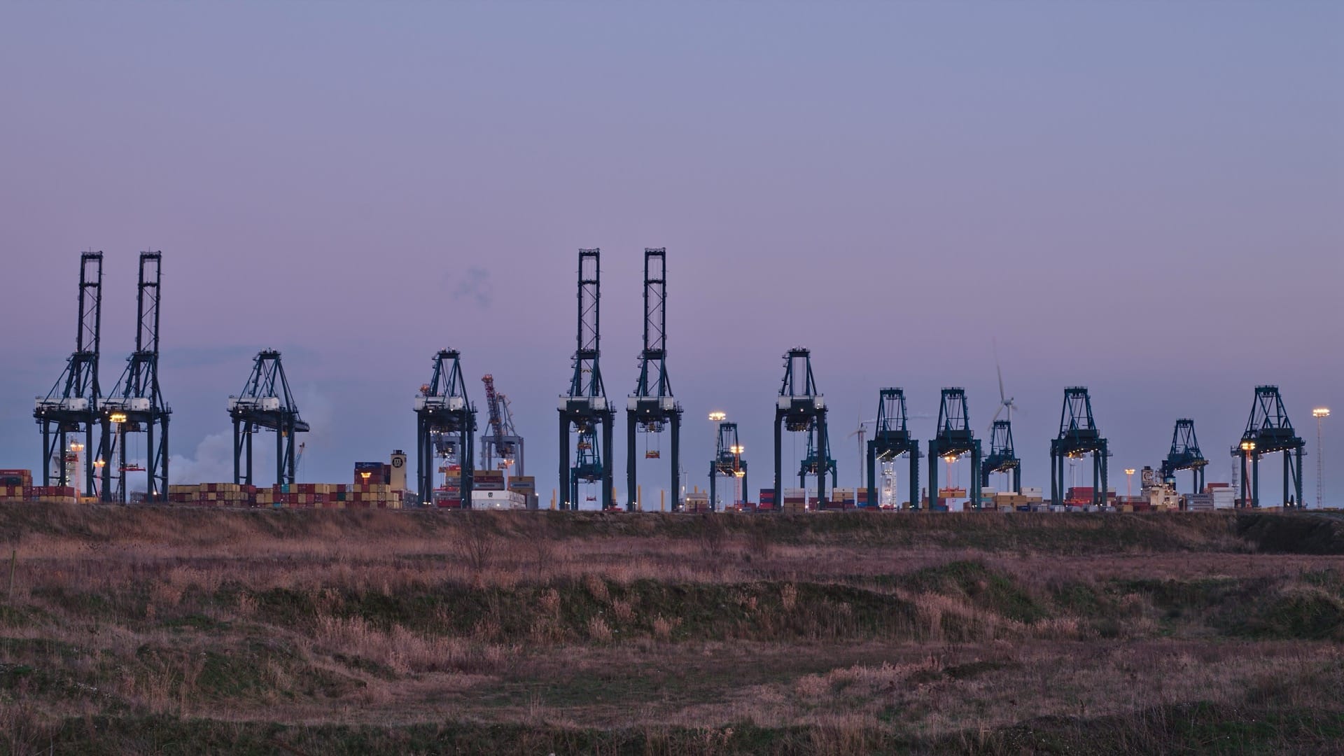 A long row of container cranes stands above stacked cargo at the Port of Antwerp in purple evening light.
