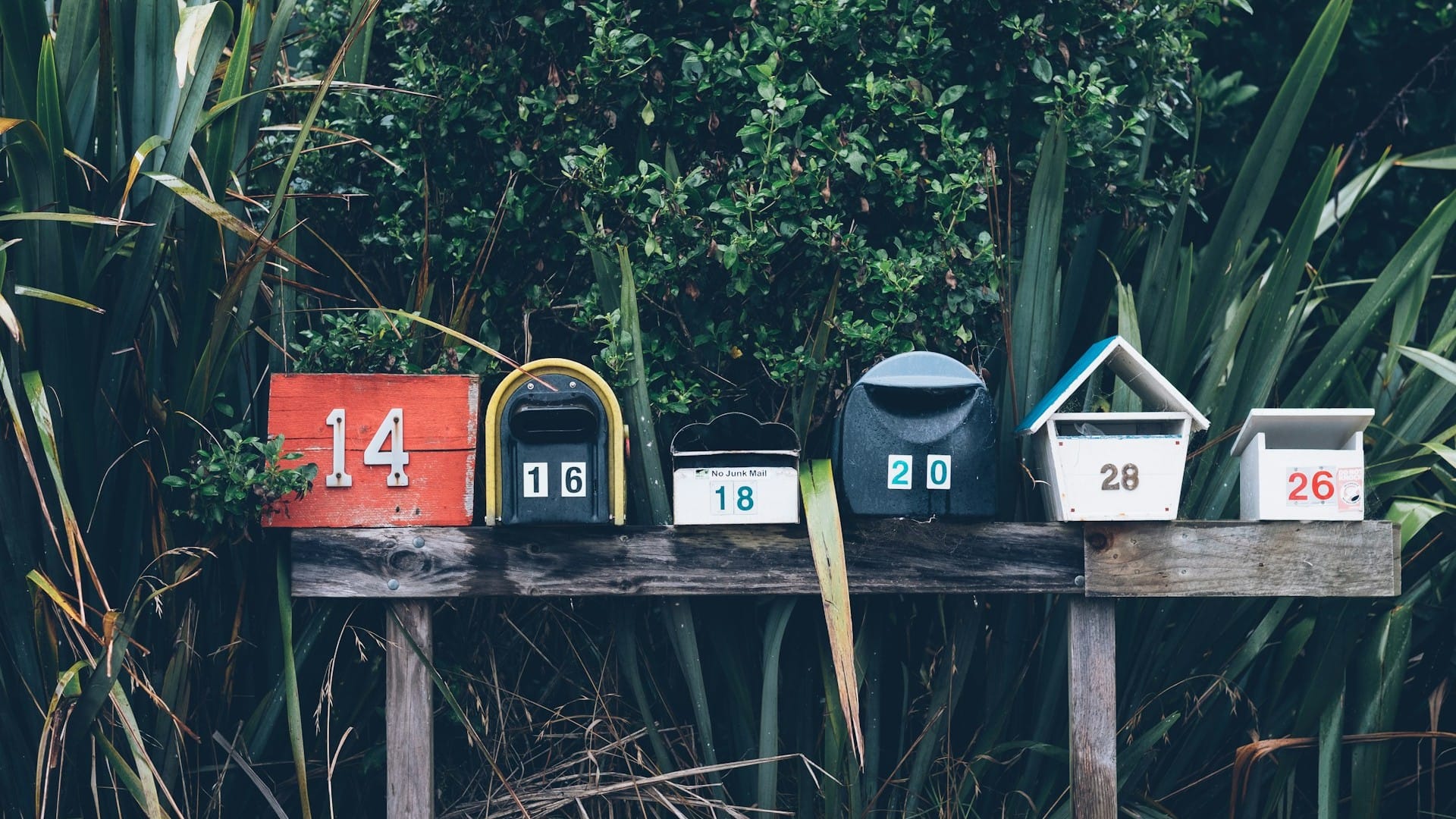 Six numbered mailboxes stand in a row on wooden posts surrounded by greenery.